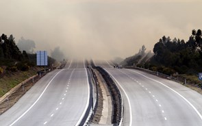 Paulo Duarte: “Cortar a A1 ou a A25 tem impacto muito grande nas transportadoras”