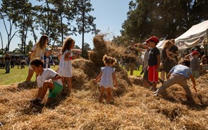 Celebrar o outono em Serralves