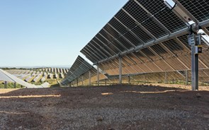 Akuo estreia megacentral solar e promete outra para junho de 2025