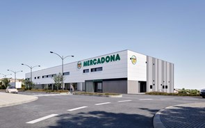 Mercadona arranca com obras para abrir primeiro supemercado em Lisboa no próximo ano