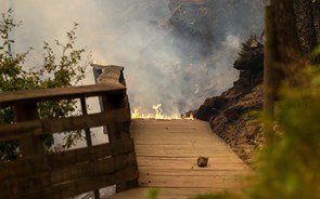 Incêndios: Arouca contabiliza pelo menos 5,3 milhões de euros em prejuízos e 350.000 são nos passadiços