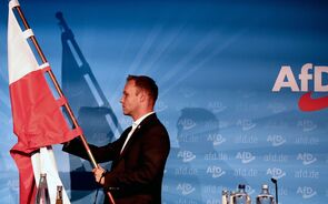 afd, alemanha, extrema direita