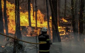 Fidelidade ativa mecanismo de emergência