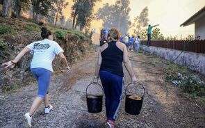 Dez mil hectares ardidos entre a Área Metropolitana do Porto e Aveiro