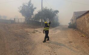 Incêndios: verbas recorde não evitam segunda maior área ardida em 20 anos