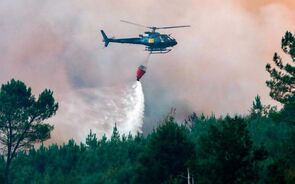 Fogos deixam rastro de prejuízos em Vila Pouca de Aguiar