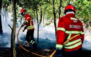 Covelo de Paiva em Castro Daire rodeado por chamas há quatro dias