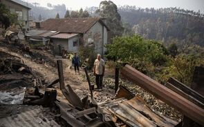 Penalva do Castelo em resolução, Castro Daire com 'muito trabalho pela frente'