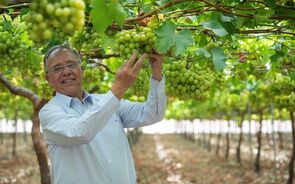 Compra da Vale da Rosa por investidores espanhóis chega à Concorrência