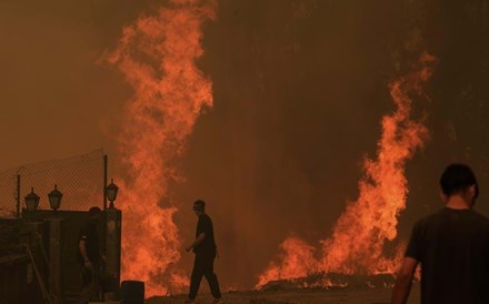 Famílias podem concorrer a apoios aos incêndios até 31 de dezembro