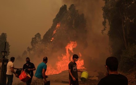 Incêndios: Governo aprova isenção de contribuições à segurança social e apoios ao emprego