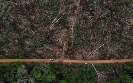 Empresas querem adiar regras para proteger florestas e alertam para ruturas