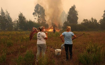 Mais de 100 feridos e 75 mil hectares ardidos em concelhos afetados pelos fogos