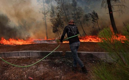 Governo aprova apoio de 100 milhões para zonas afetadas por incêndios