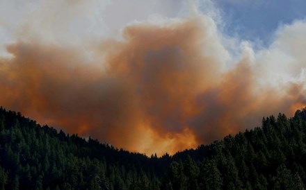 Floresta perto de ser emissora de CO2 em vez de sumidouro devido aos incêndios 