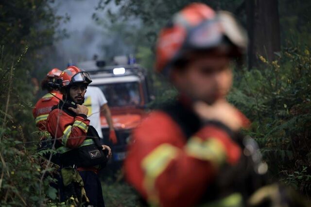 Gastos com prevenção de incêndios multiplicam por 12 após Pedrógão