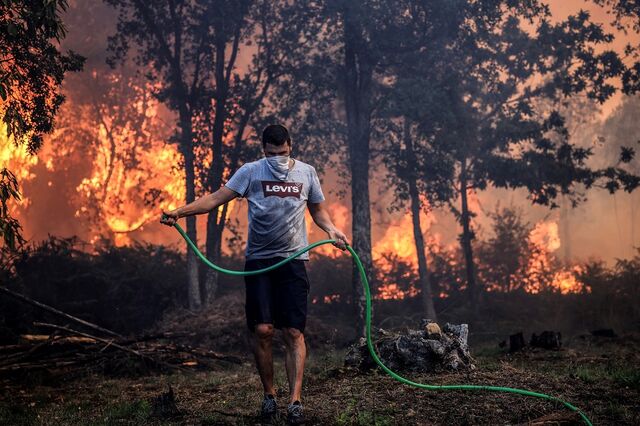 Governo investe 52 milhões na prevenção de incêndios rurais