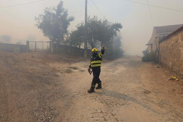 Incêndios: verbas recorde não evitam segunda maior área ardida em 20 anos