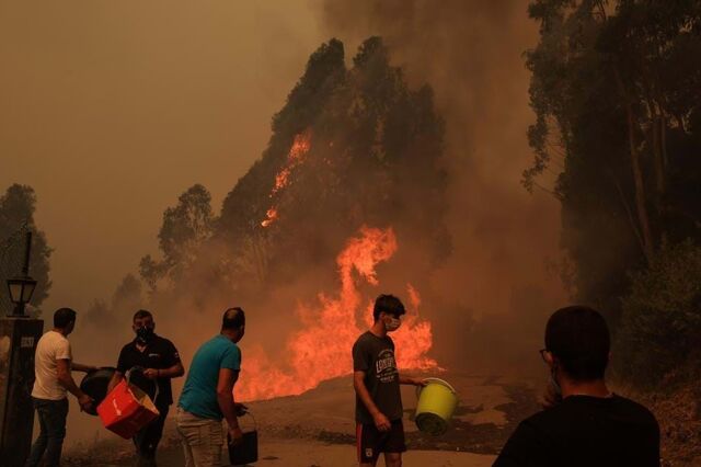 Incêndios: Governo aprova isenção de contribuições à segurança social e apoios ao emprego