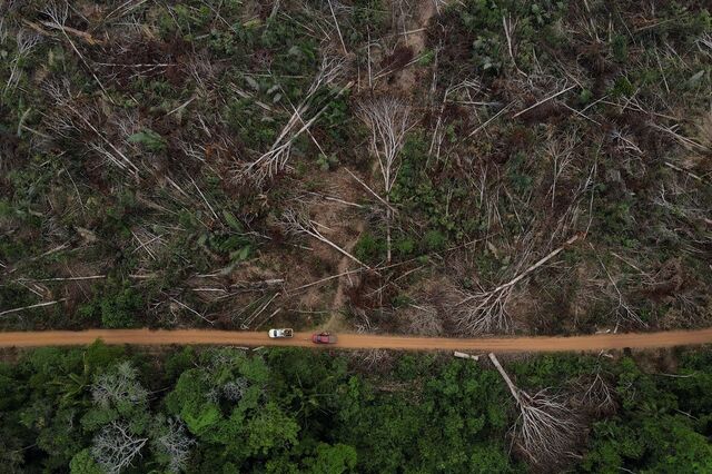 Governo promete apresentar plano de ação para 'valorizar' floresta no prazo de três meses
