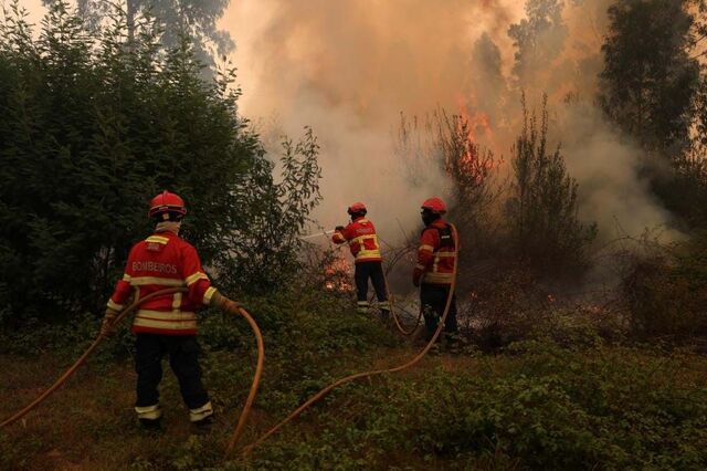 Em terrenos sob gestão, incêndios demoram menos 3 horas a propagar