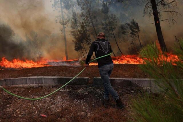 Agricultores pedem 'acção rápida' e aposta na prevenção e rejeitam 'soluções simplistas'