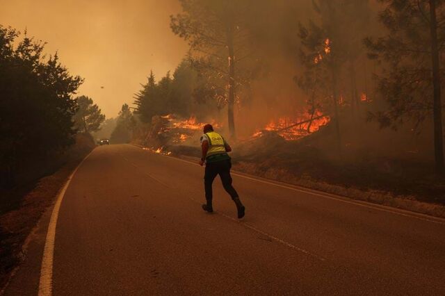 Incêndios: Seguradoras estimam pagar indemnizações de mais de 17 milhões