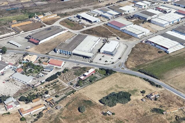Executada da Moita com edifício-sede em leilão online por 2 milhões