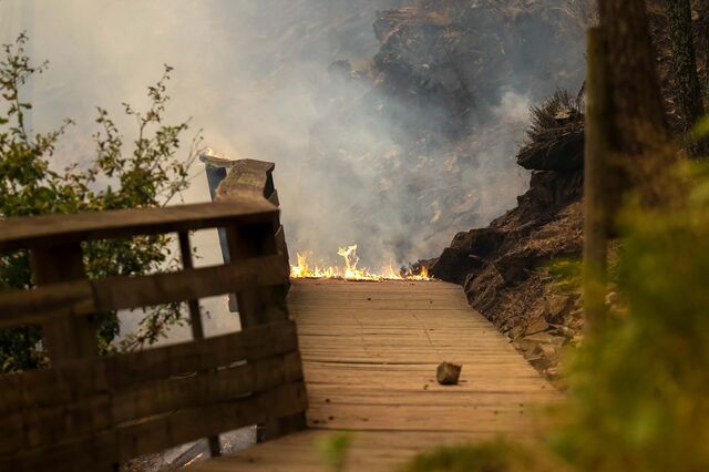 Incêndios: Arouca contabiliza pelo menos 5,3 milhões de euros em prejuízos e 350.000 são nos passadiços