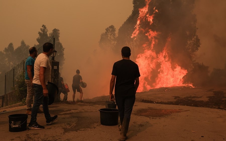 A área ardida em Portugal continental desde o passado domingo ultrapassa os 62 mil hectares.