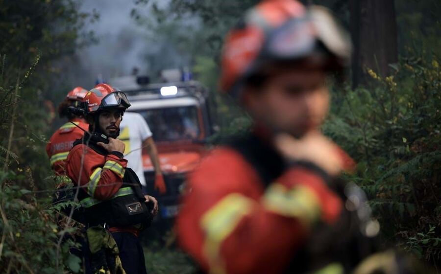 Prevenção representa, em média, 59% da despesa do SGIFR desde a adoção de programa de ação.