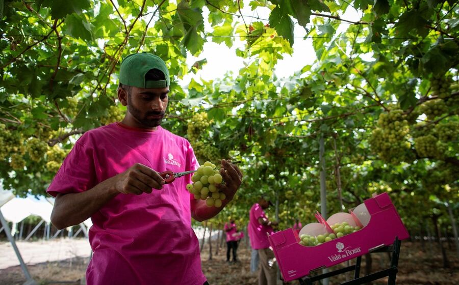 Vale da Rosa Ferreira do Alentejo