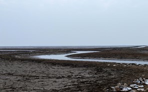 Seca sem precedentes dos rios põe em risco abastecimento de água a nível mundial