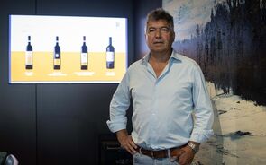 João Ferreira Álvares Ribeiro CEO Quinta do Vallado