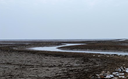 Seca sem precedentes dos rios põe em risco abastecimento de água a nível mundial