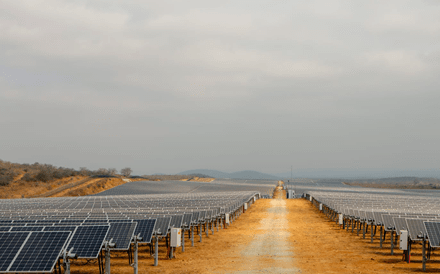 Criadora do maior parque solar da África Subsariana investe em startup portuguesa com projeto de IA