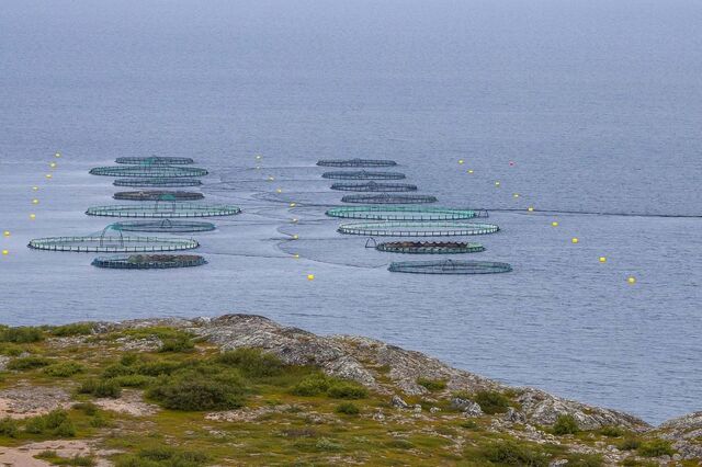 Projeto europeu procura ideias para acelerar economia azul