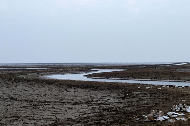 Seca sem precedentes dos rios põe em risco abastecimento de água a nível mundial