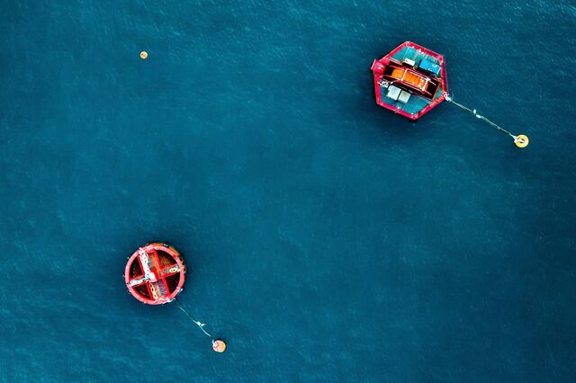 Economia azul: “Falta transformar tecnologias académicas em negócios rentáveis”