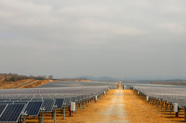 Criadora do maior parque solar da África Subsariana investe em startup portuguesa com projeto de IA