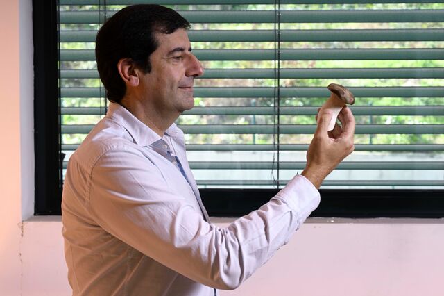 Nuno Pereira: “No resultado líquido, paga ainda os erros do passado”