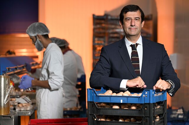 Rei dos cogumelos cria marca Cuga para chegar a vendas de 24 milhões