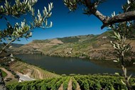 Quinta do Seixo, propriedade da Sogrape no Douro, 