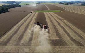 UE estuda travão a importações de produtos agrícolas dos EUA