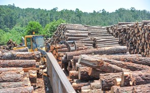 As associações da floresta industrial