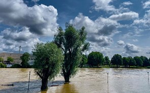 Crise climática vai obrigar à deslocação de milhões de pessoas até 2050