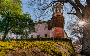 Vila Galé vai investir 20 milhões na conversão da Quinta da Cardiga num hotel de luxo 