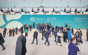 Com o planeta em chamas, COP29 será “morna” 