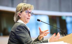 Maria Luís Albuquerque, Parlamento Europeu
