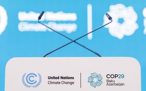 COP 29